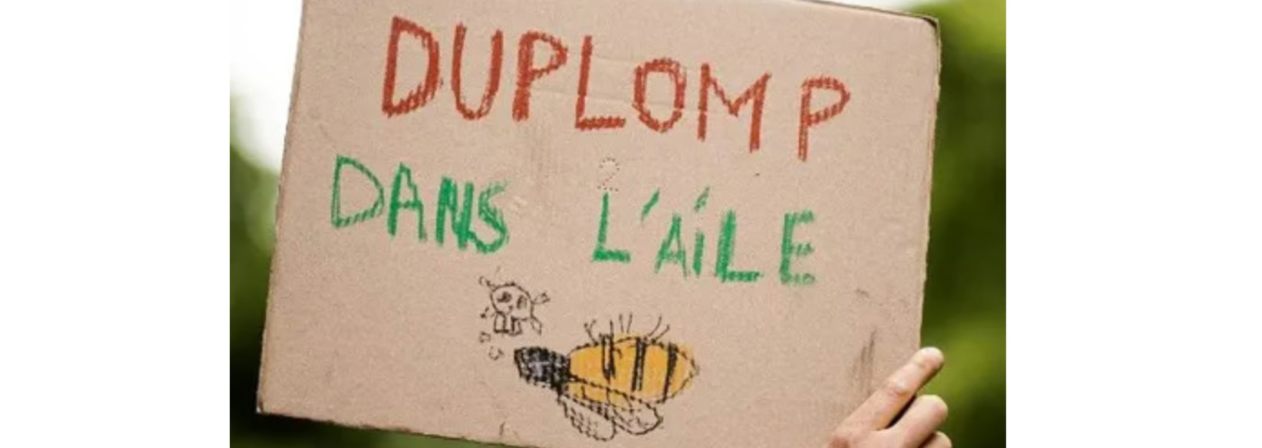 Les coûts cachés de l'agriculture 1 loi duplomb manifestation